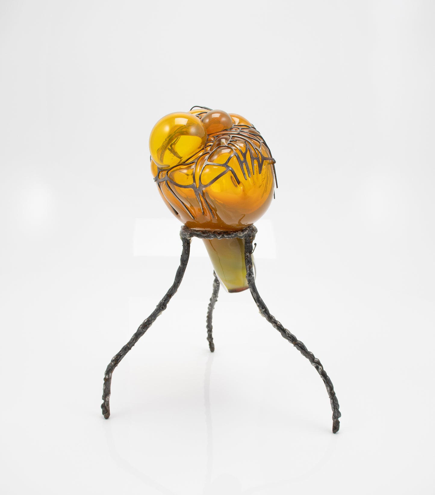 Organsprojektion XII