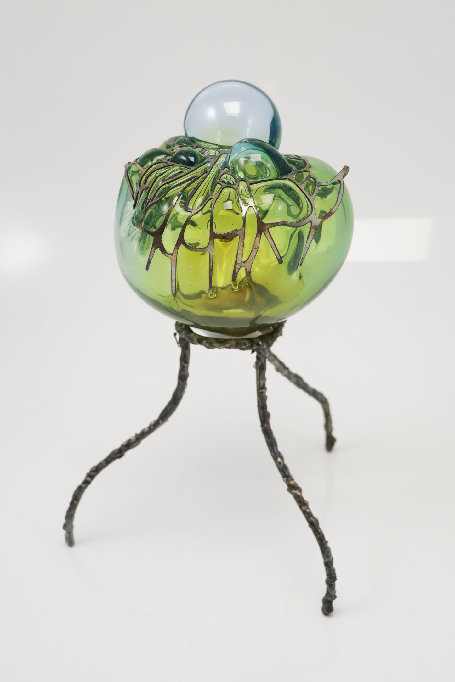 Organsprojektion XVI