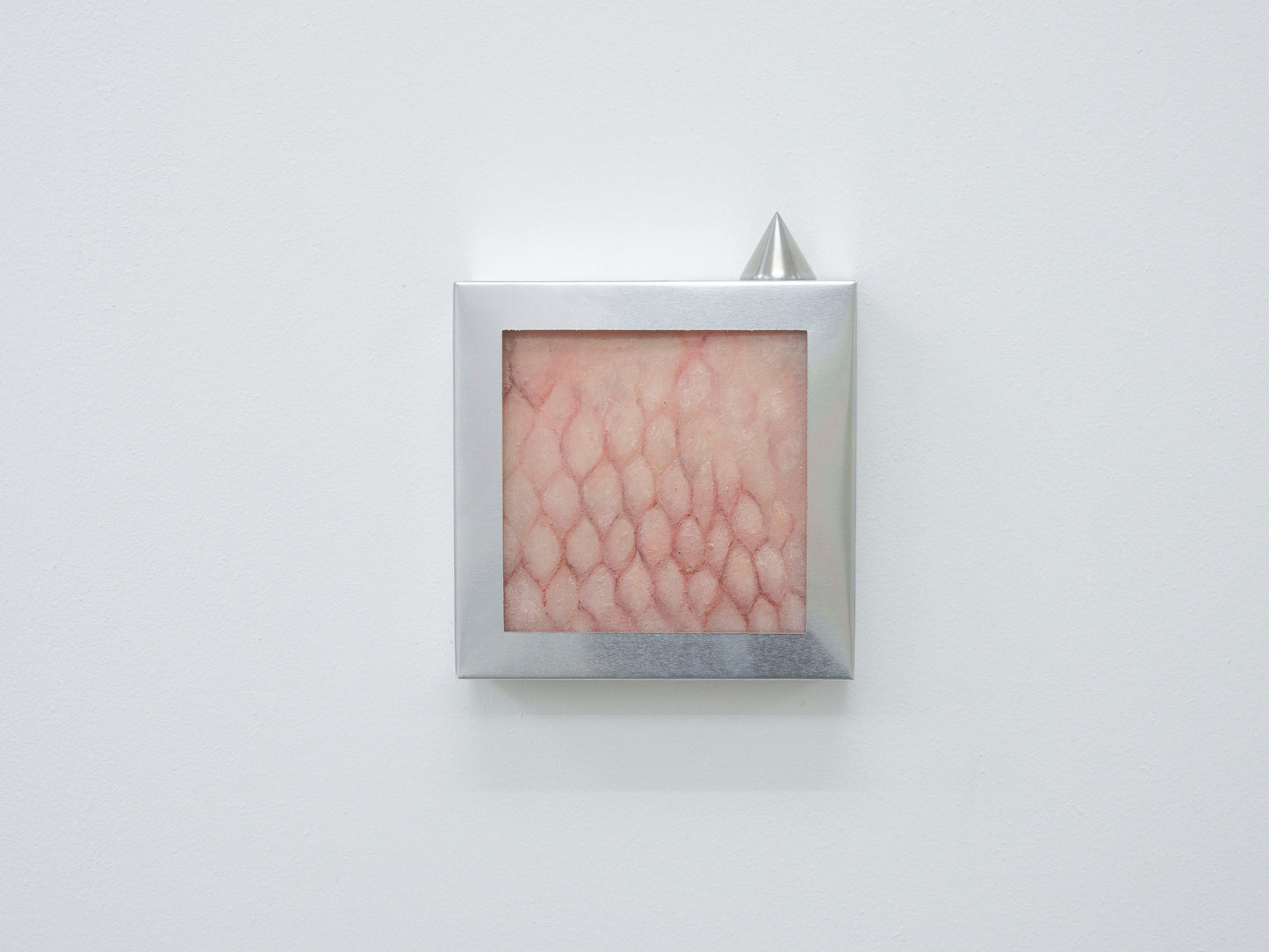 Untitled (self-portrait)