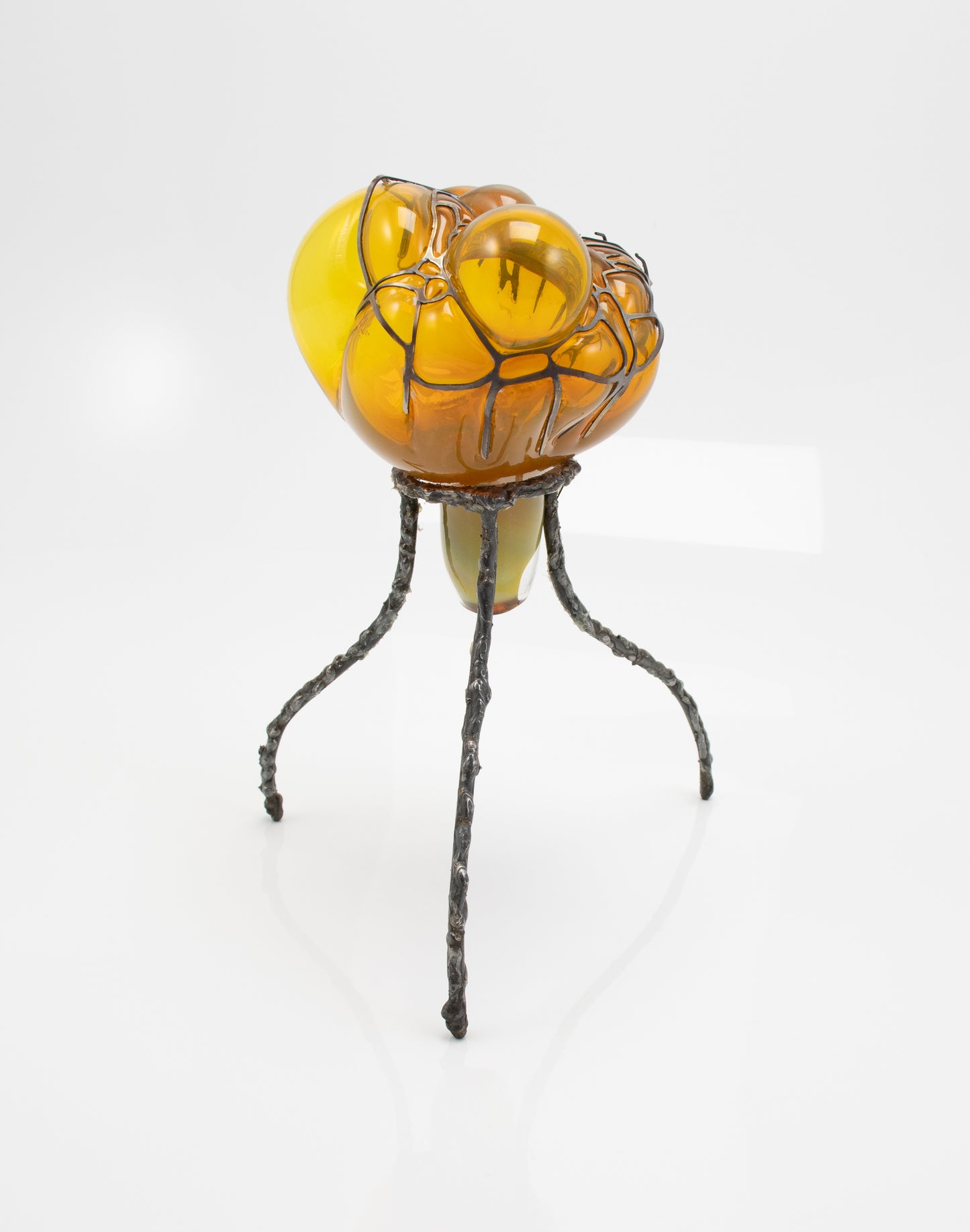 Organsprojektion XII