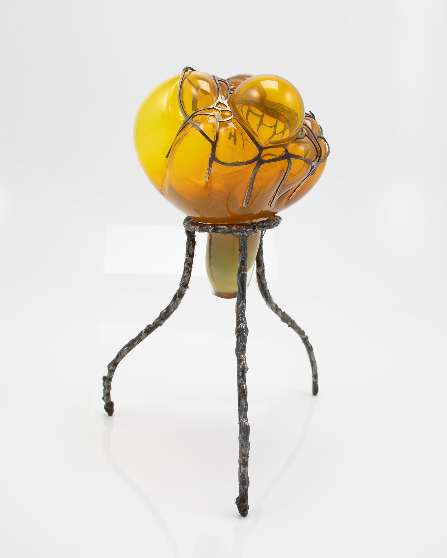 Organsprojektion XII