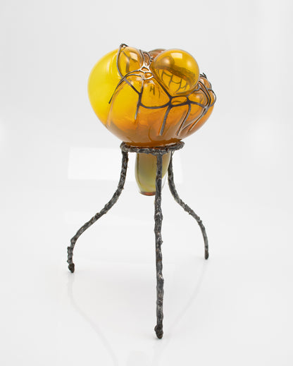 Organsprojektion XII