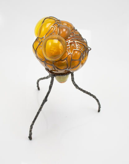 Organsprojektion XII