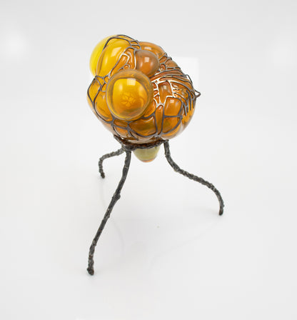 Organsprojektion XII