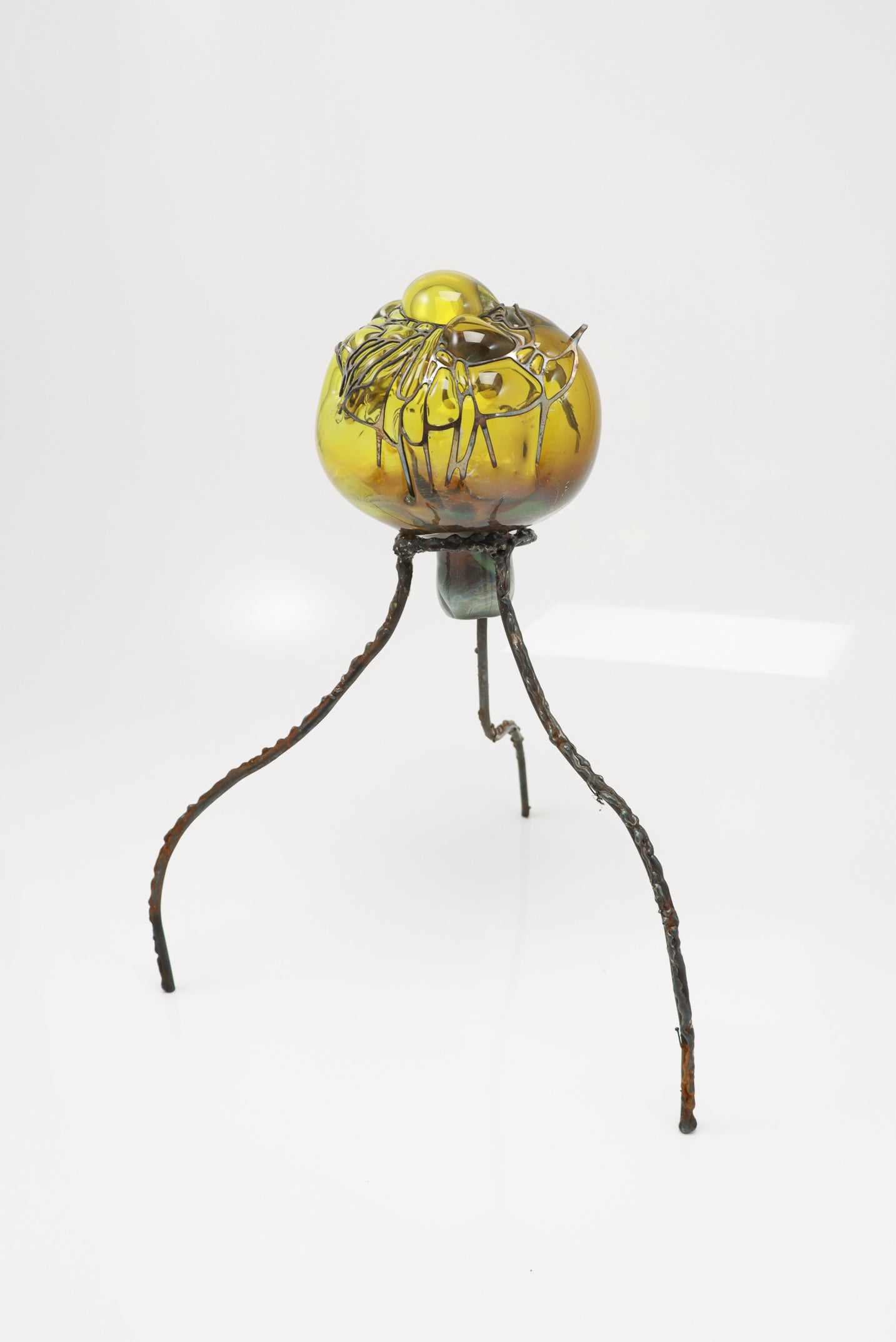 Organsprojektion XVII