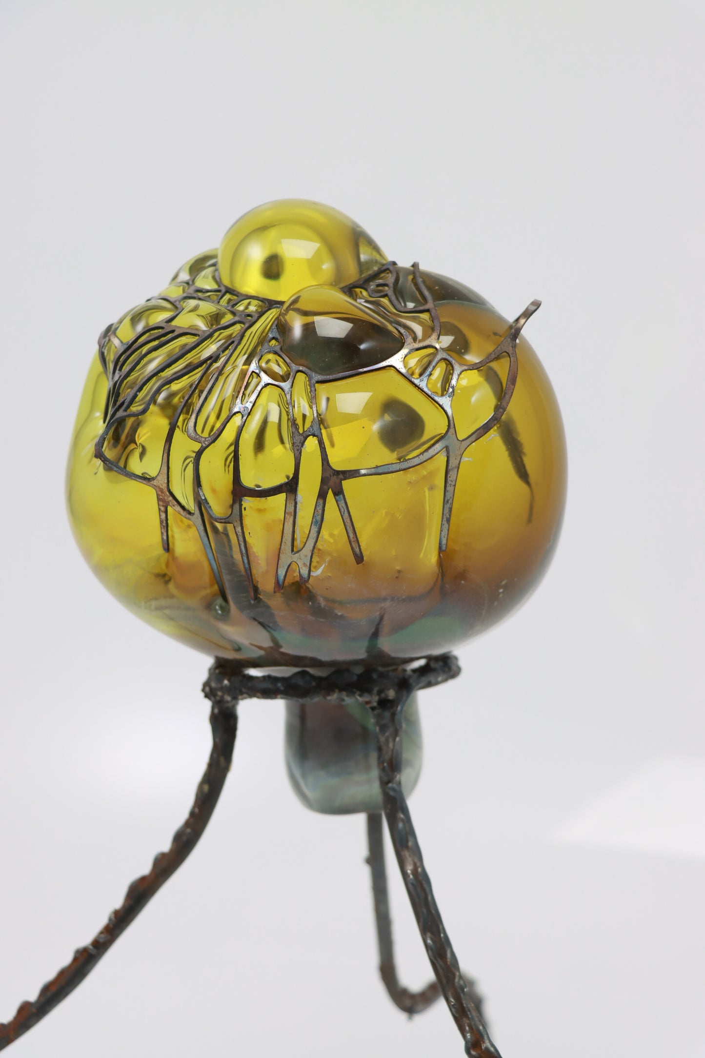 Organsprojektion XVII