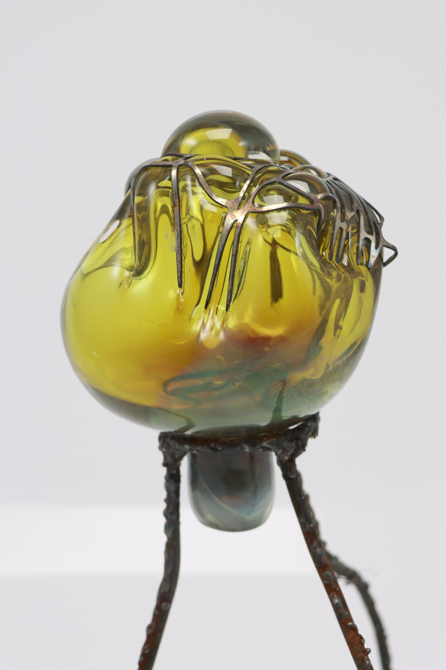 Organsprojektion XVII