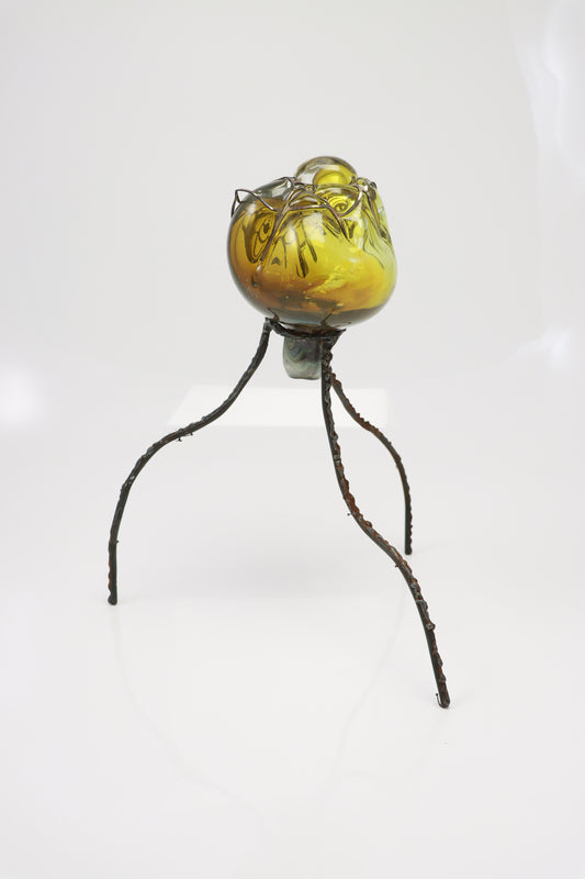 Organsprojektion XVII