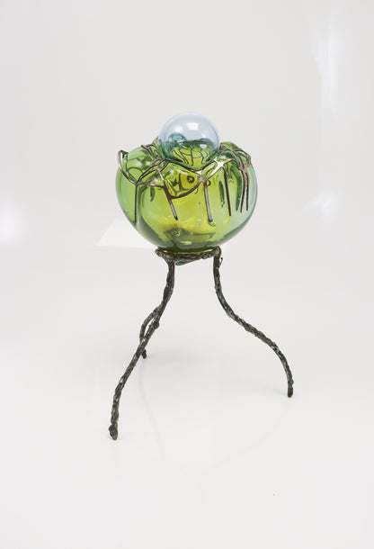 Organsprojektion XVI