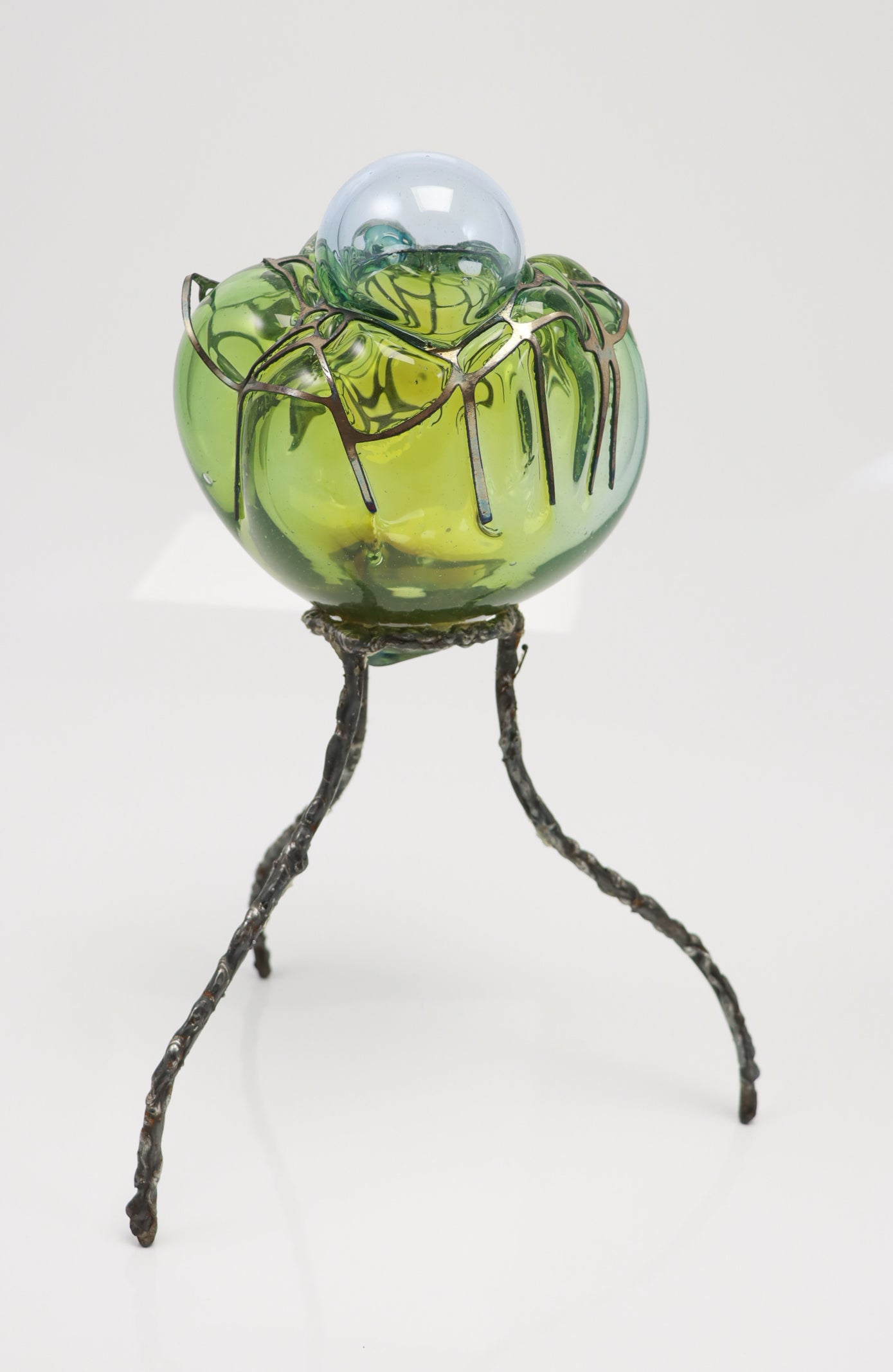 Organsprojektion XVI