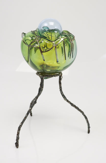 Organsprojektion XVI