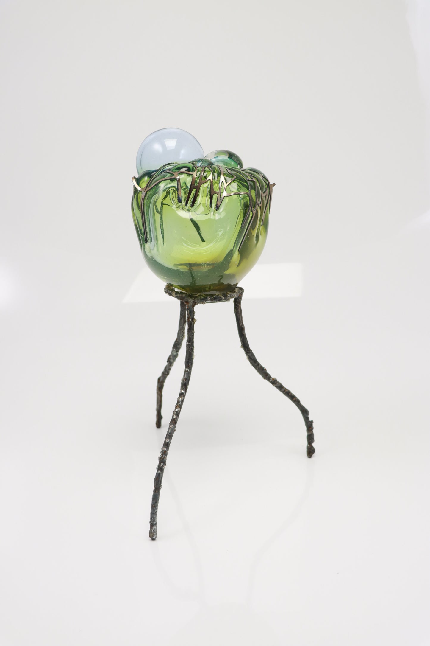 Organsprojektion XVI