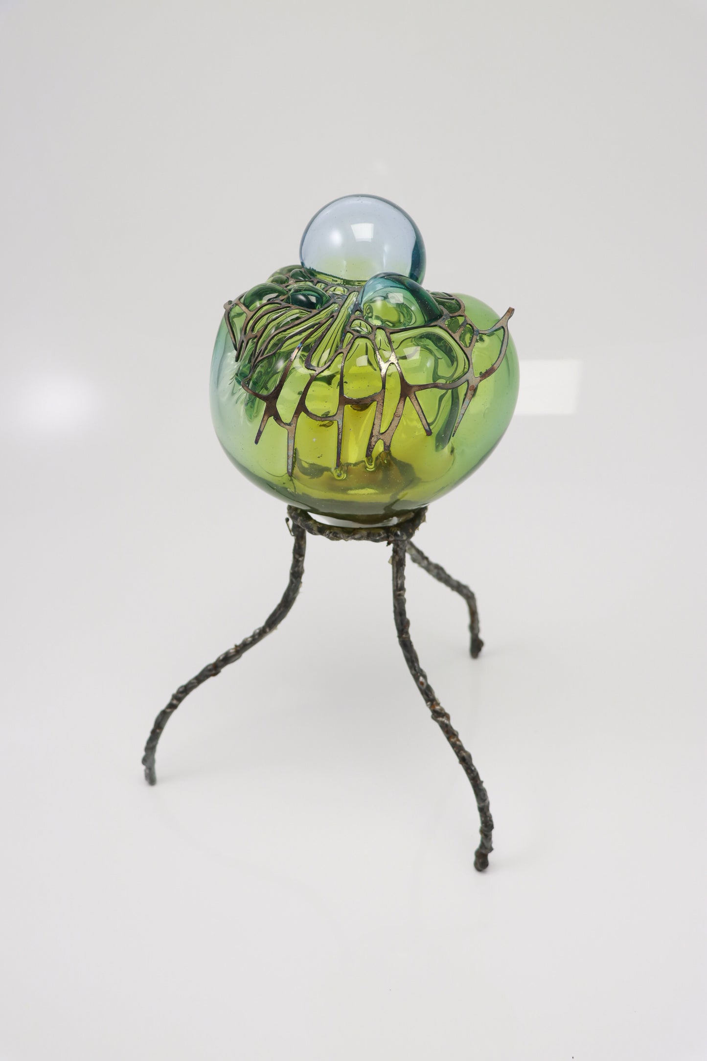 Organsprojektion XVI