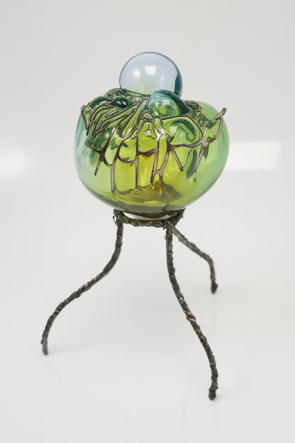 Organsprojektion XVI